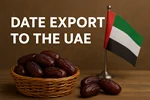 صادرات خرما به امارات؛ فرصتی طلایی برای تجار ایرانی